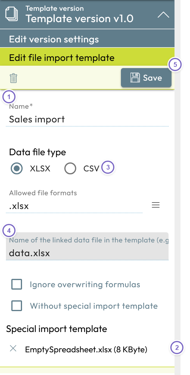 File import template editor with name, data file type, linked file name and the chosen template file